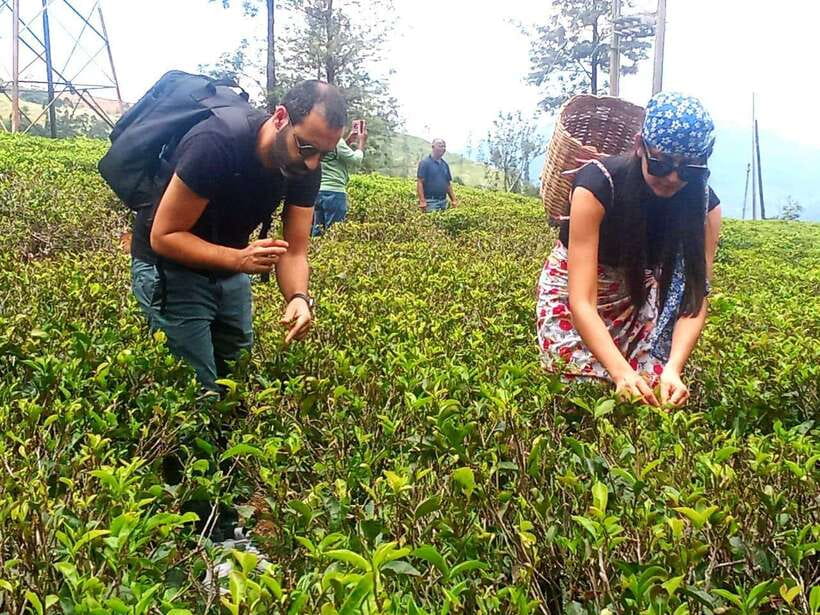 Nuwara Eliya: Tea Factory and Pickle Waterfalls Tuk Tuk Tour - The tuk-tuk is part of the experience