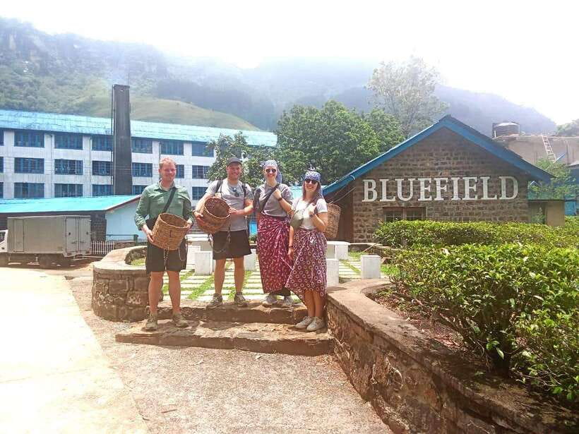 Nuwara Eliya: Tea Factory and Pickle Waterfalls Tuk Tuk Tour - Is $33 a fair price?