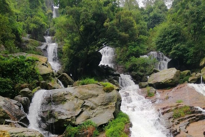 Nuwara Eliya Tea factory and waterfall tour - Damro Labookellie begins with tea in the cup