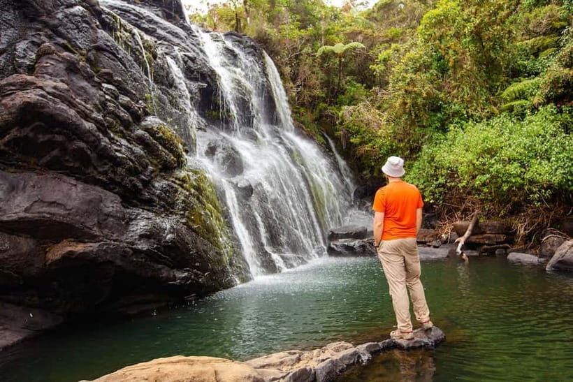 Nuwara Eliya to Horton Plains, Strawberry& Ambewela Farm TUK - World’s End and the weather gamble