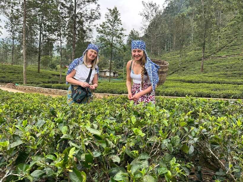 Nuwara Eliya Tuk-Tuk Tour Tea Picking,Tasting &Ramboda Falls - What the private tuk-tuk setup means