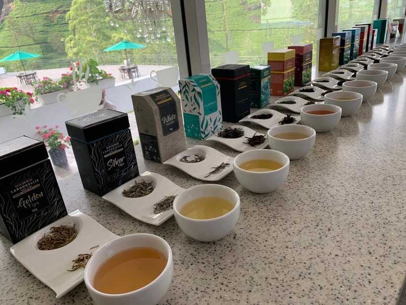 Nuwara Eliya Tuk-Tuk Tour Tea Picking,Tasting &Ramboda Falls - Who should book this experience
