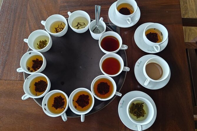 Nuwaraeliya Tea Factory and WaterFall Tour’s With DMJ Tours - Price, group size, and what you actually receive