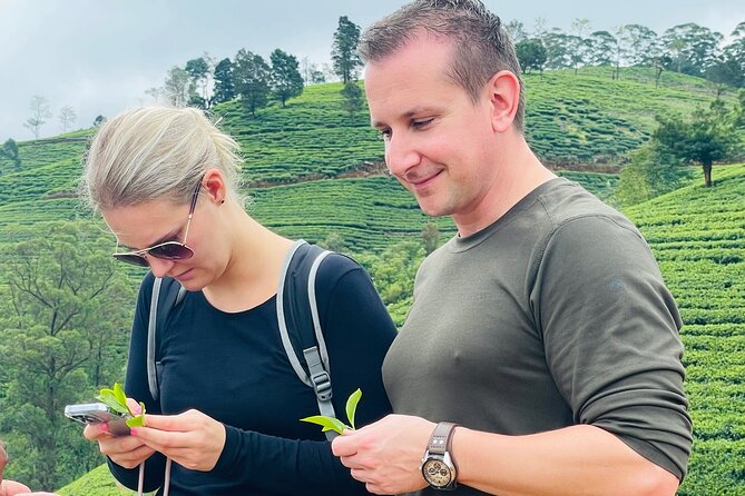 NuwaraEliya Tea Factory,Plantation & Water Falls Hike Tour by Car - What the guide can add to the day
