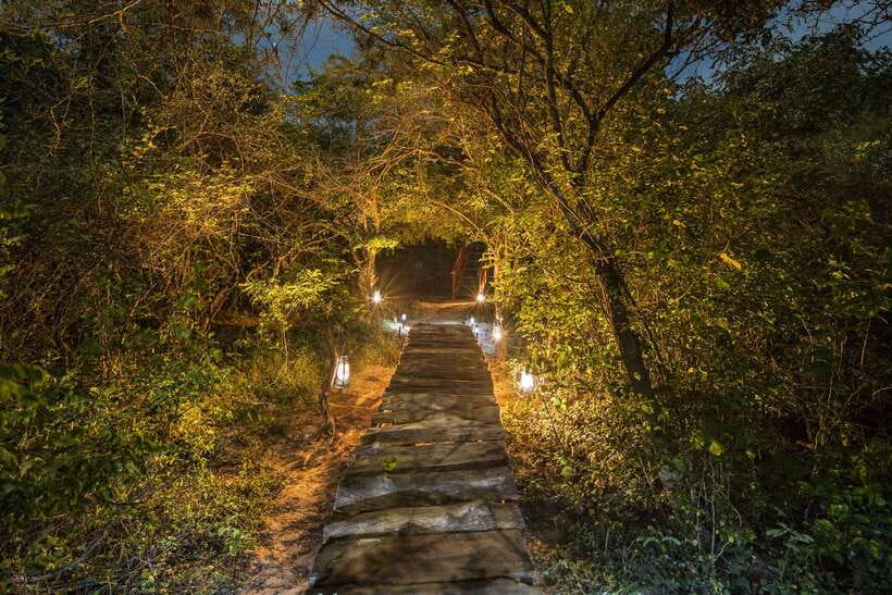 Overnight Treehouse Safari at Yala National Park - The treehouse and what to check