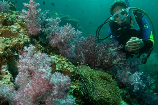 PADI Scuba Diver Course - What the PADI Scuba Diver course actually gives you
