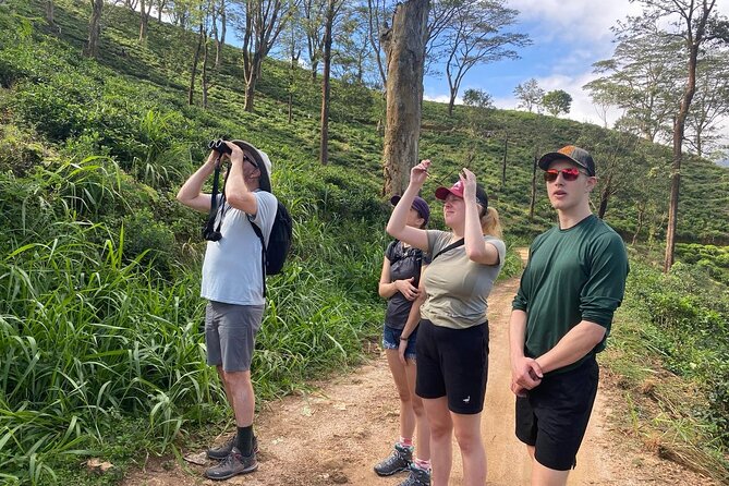 Pekoe Trail Stage 1- Scenic Trek from Hanthana to Galaha - Why Stage 1 is a smart introduction to the Pekoe Trail