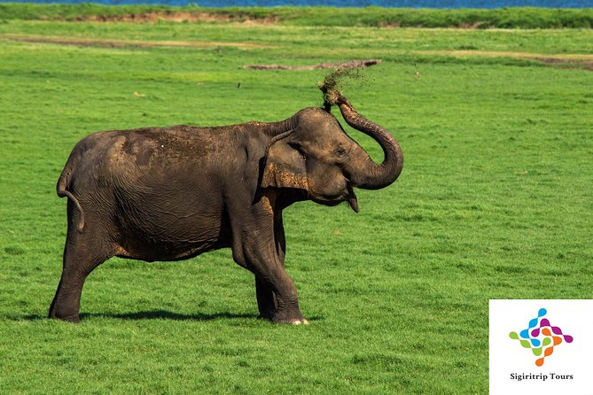 Personal Driver For Your Two Weeks Round Tour In Sri Lanka - Ella: bridges, viewpoints, and long walks