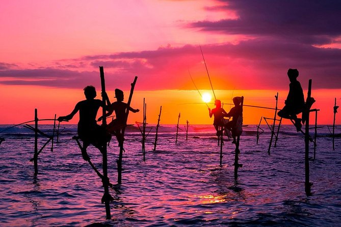 Personal Driver For Your Two Weeks Round Tour In Sri Lanka - Minneriya and Kaudulla for elephant country
