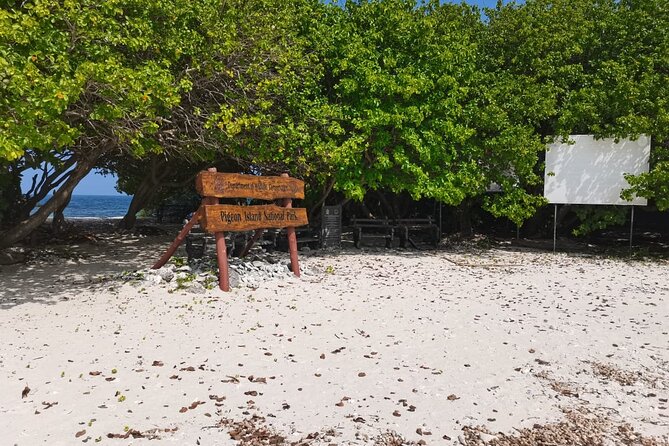 Pigeon Island Snorkeling – Swim with Sharks & Turtles - Boats, equipment, and group size