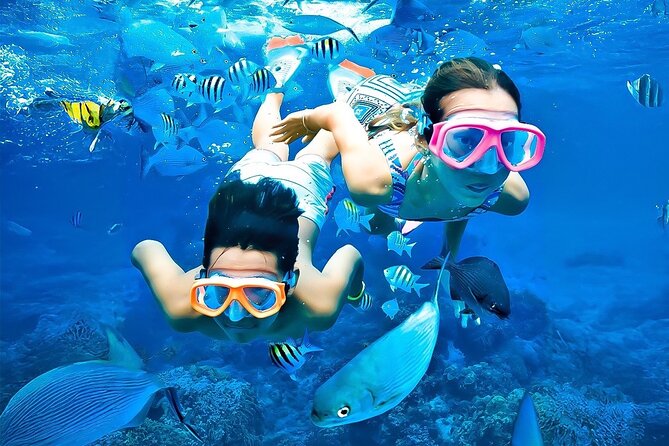 Pigeon Island Snorkeling Tour From Uppuveli Beach - What the Pigeon Island morning is really about