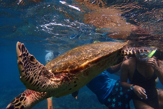 Pigeon Island Snorkeling Tour From Uppuveli Beach - Pigeon Island National Park and the first swim