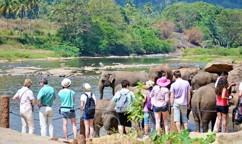Pinnawala,Kandy Day Tour from Colombo/Negombo - What this Colombo and Negombo day tour really involves