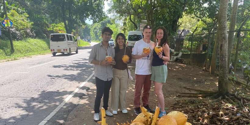 Pinnawala,Kandy Day Tour from Colombo/Negombo - The return journey and the real cost in time