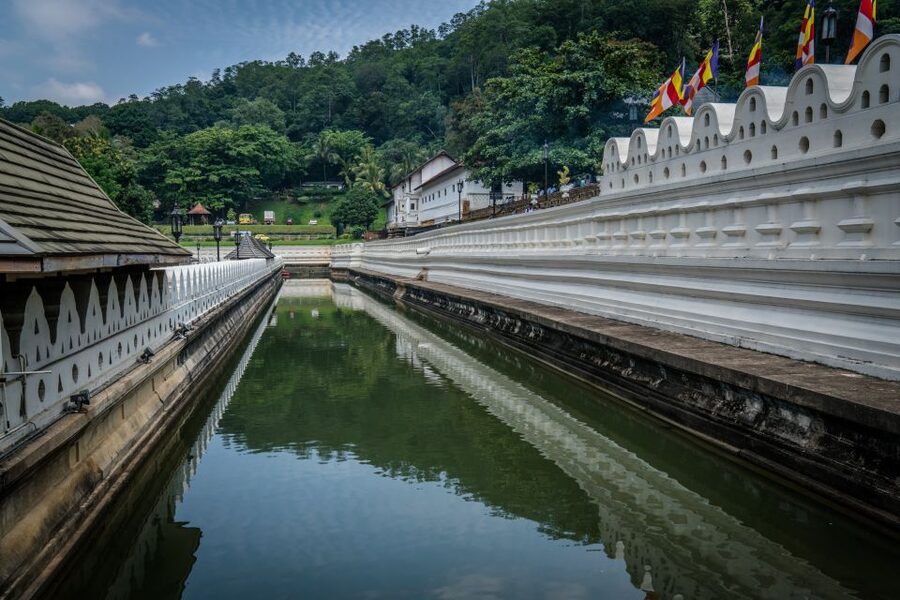 Pinnawala & Kandy Day Tour from Negombo - Tea at the Geragama or Iragama factory
