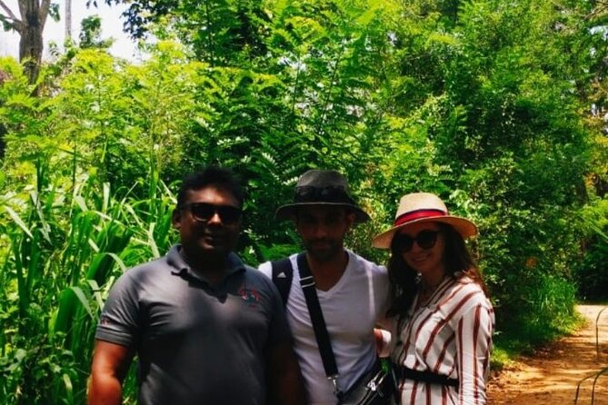 Pinnawala private day trip from colombo or negombo - What the chauffeur guide adds to the day