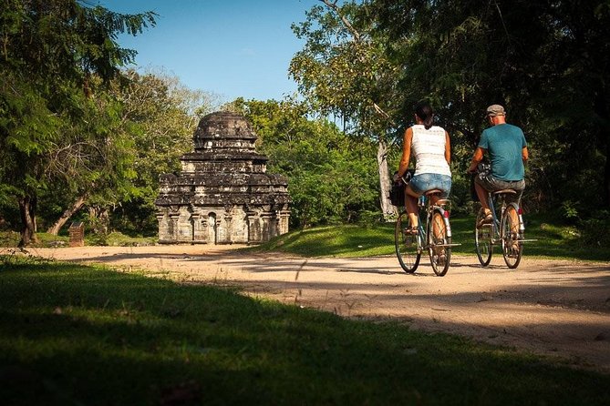 Polonnaruwa Day Tour with Lunch by Mahaweli - The driver, communication, and comfort