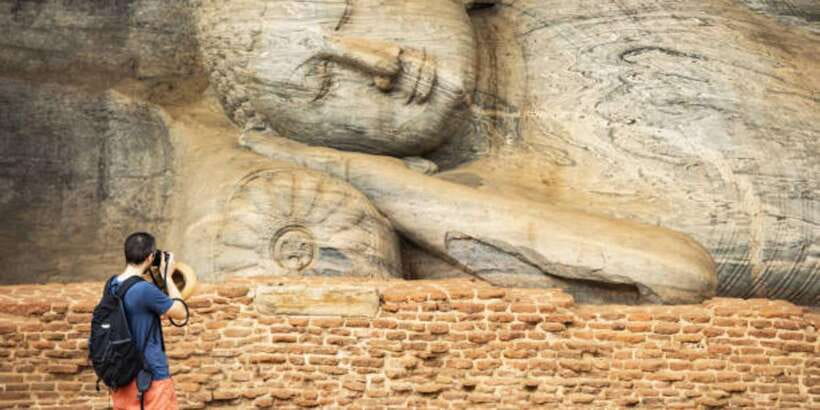Polonnaruwa Day Tour With Minneriya NP Elephant Safari - When the safari works best, and when it does not