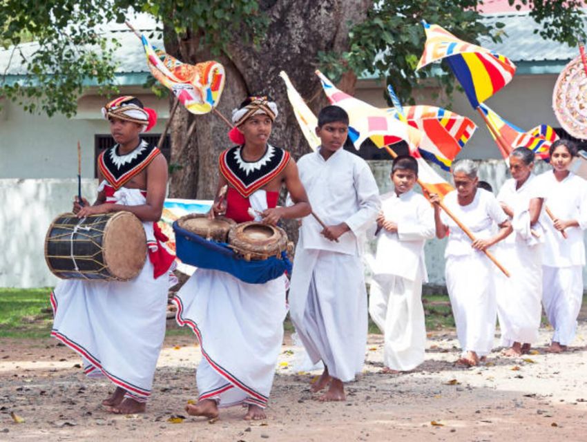 Polonnaruwa Day Tour With Minneriya NP Elephant Safari - The drivers make a practical difference