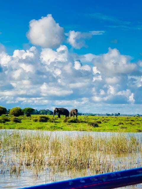 Pottuvil Lagoon Eco Tour : Mangrove Adventure in Arugam Bay - Who will enjoy this lagoon safari most