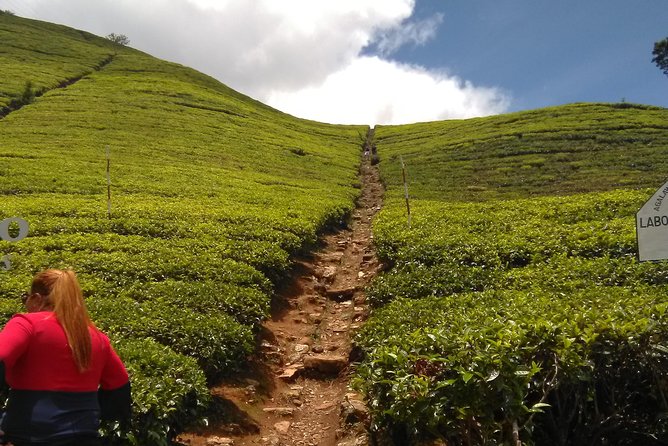 Private all inclusive Day tour Kandy, Pinnawala, & your own selected attractions - Spice Grove plants and a complimentary massage
