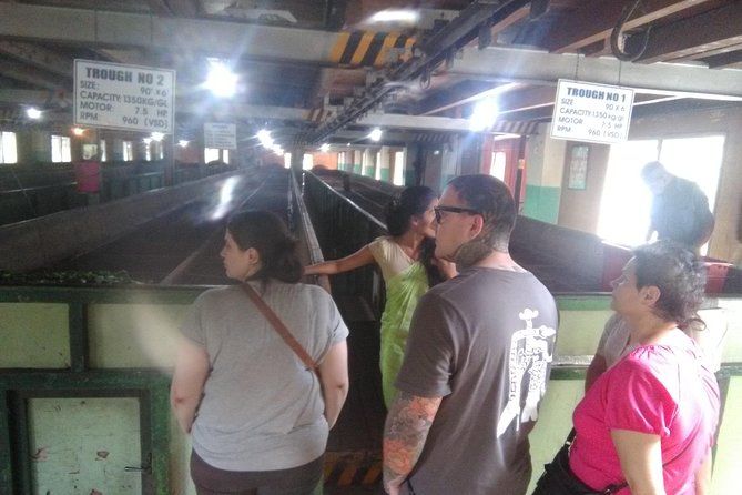 Private all inclusive Day tour Kandy, Pinnawala, & your own selected attractions - Pinnawala Ape Gama and village-style Sri Lanka