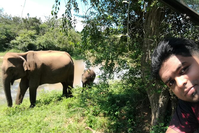 Private Dambulla Sigiriya Tour from Kandy with friendly chauffeur - Climbing Sigiriya Rock