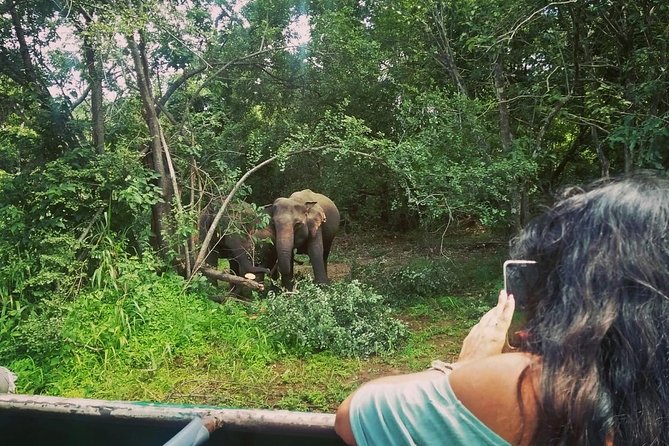 Private Dambulla Sigiriya Tour from Kandy with Lunch - Setting out from Kandy in a private minivan