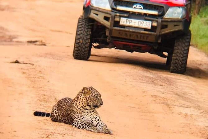 Private Day Tour from Colomb to Yala Safari (Leopard Safari Tour) - The four-hour safari inside Yala