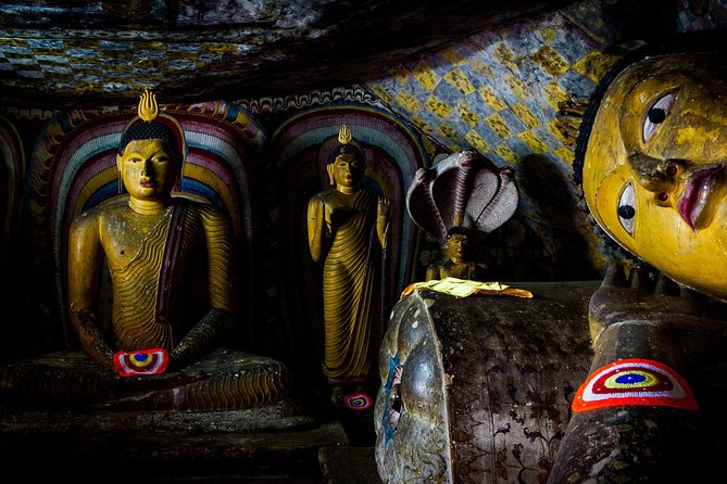 Private Day Tour from Kandy to Sigiriya and Dambulla Cave temple - What the driver adds to the day