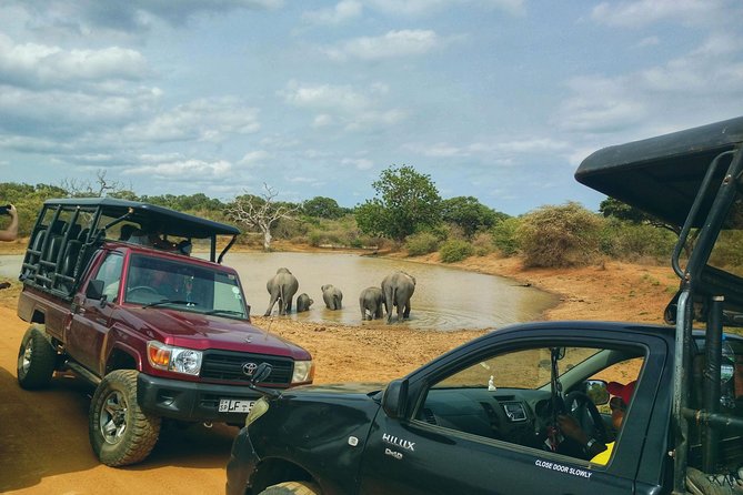 Private Day Tour: Yala National Park Safari Tour from Galle & Weligama - Five hours inside Yala National Park