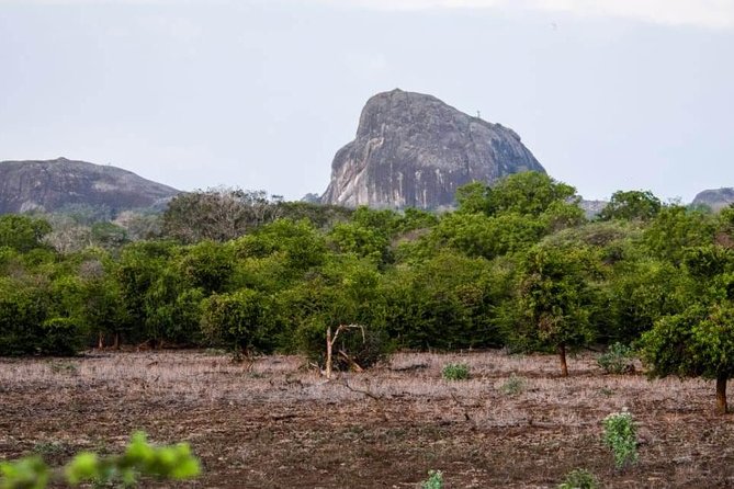 Private Day Tour: Yala National Park Safari Tour from Galle & Weligama - What the private vehicle and service add