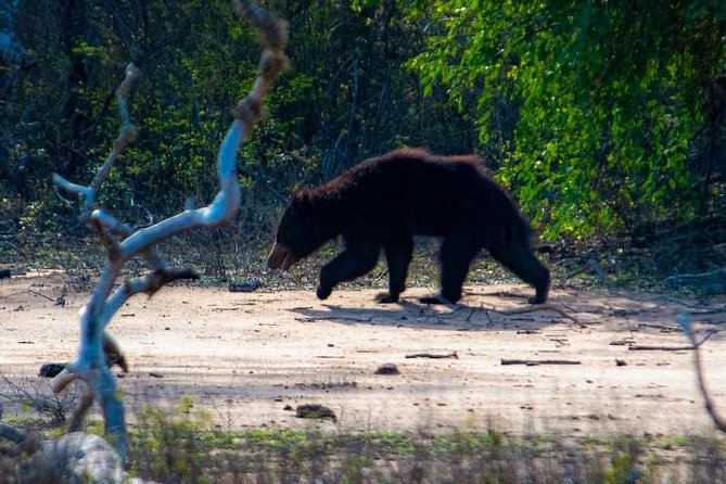 Private Day Tour: Yala National Park Safari Tour from Galle & Weligama - The people behind the day