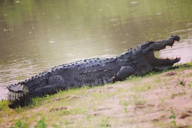 Private Day Tour: Yala National Park Safari Tour from Galle & Weligama - Booking details worth checking