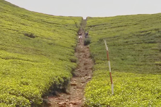 Private Day trip Kandy & pinnawala with your selected attractions - Kandy View Point in 30 minutes