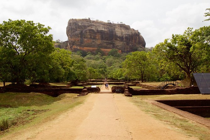 Private Day Trip to Sigiriya, cave and National park Safari Tour - The drivers can shape the whole day