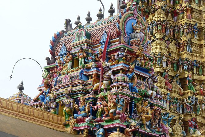 Private Day Trip to Sigiriya & Dambulla from Kandy – Aaliya Tours - The $52 price and the real cost of the day
