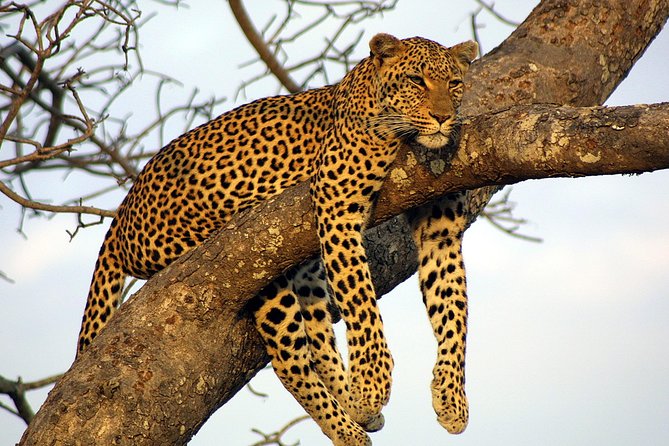 Private Day Trip to Yala National Park from Colombo - Galle Dutch Fort begins the south-coast run