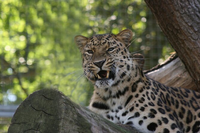 Private Day Trip to Yala National Park from Colombo - Lunch in Tissamaharama is not included