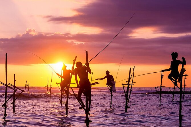 Private Day Trip to Yala National Park from Colombo - Practical details before you book