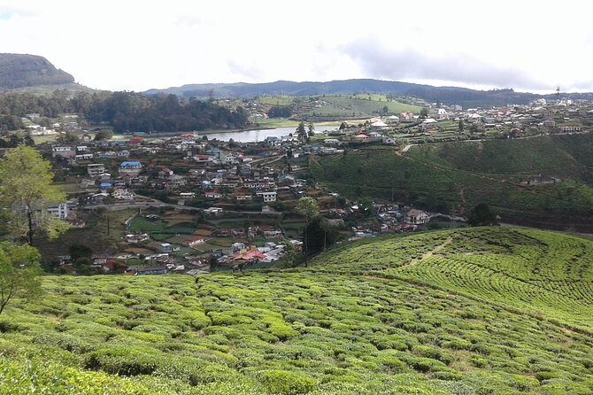 Private Full Day Tour to Nuwara Eliya from Kandy - How the $80 price works for your group