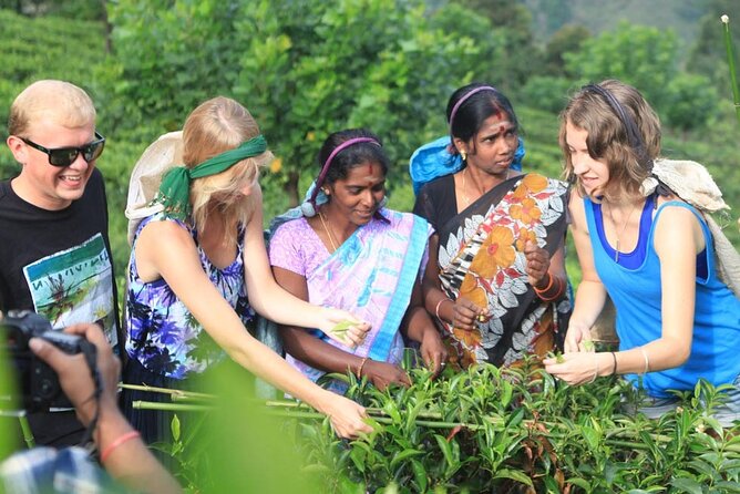 Private Galle Day Tour with Boat Safari & Tea Factory Visit - All Inclusive - Turtle hatchery and a close look at conservation