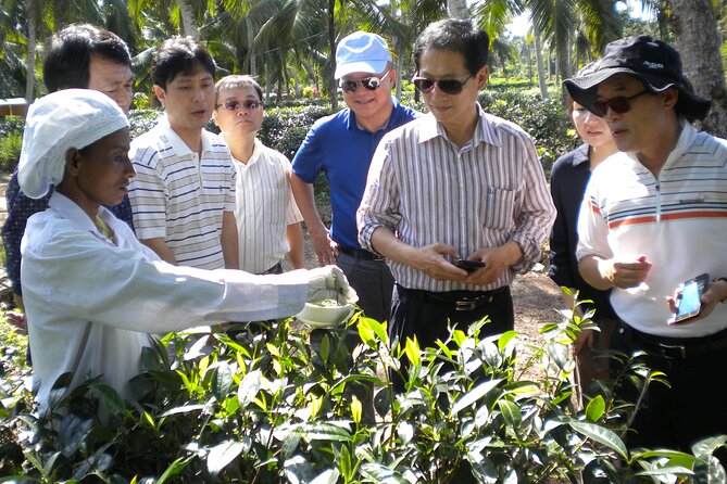 Private Galle Day Tour with Boat Safari & Tea Factory Visit - All Inclusive - Pickup range and private transport