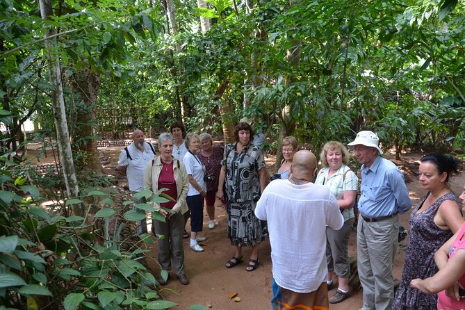 Private Galle Day Tour with Boat Safari & Tea Factory Visit - All Inclusive - Who will enjoy this tour most?