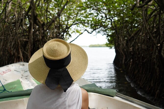 Private Galle Day Tour with River Safari, Stilt fishing & Turtles - Galbokka Sea Turtle Hatchery in Kosgoda
