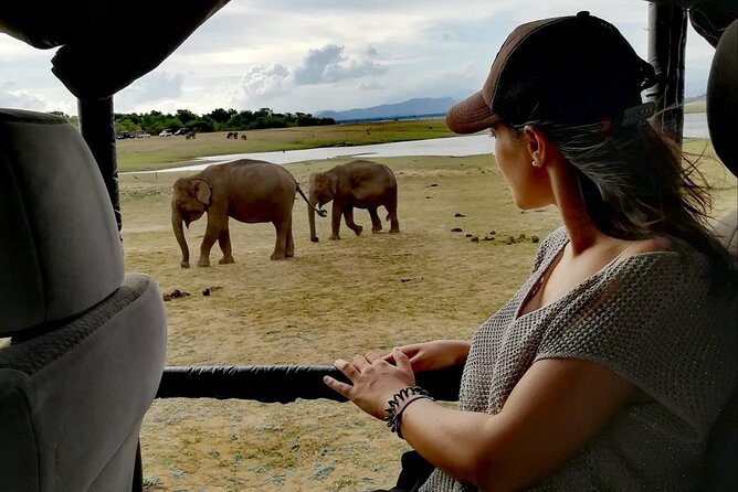 Private Half Day Safari in Udawalawe National Park - Crowds at the gate and around wildlife
