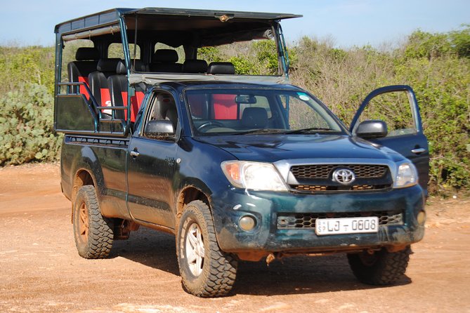 Private Half Day Safari Tour to Yala NP From Tangalle and Drop Back - Key points at a glance