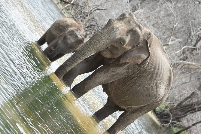 Private Half Day Safari Tour to Yala NP From Tangalle and Drop Back - The route from Tangalle, Rekawa, Ranna, and Hambantota
