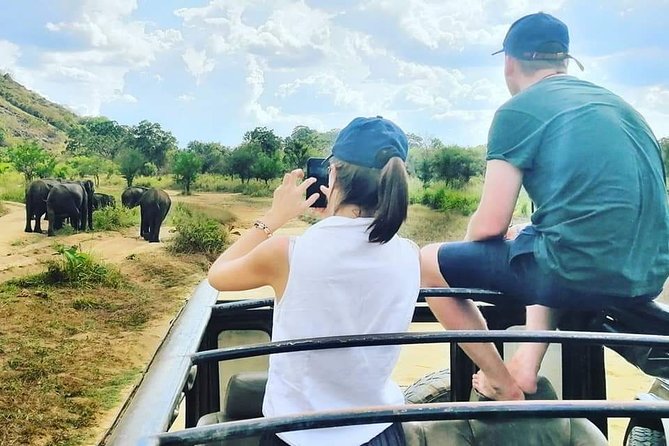 Private Jeep Safari at Minneriya National Park - A private jeep changes the feel of the outing
