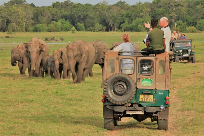 Private Jeep Safari at Minneriya National Park to Visit Elephants - What happens inside Minneriya National Park